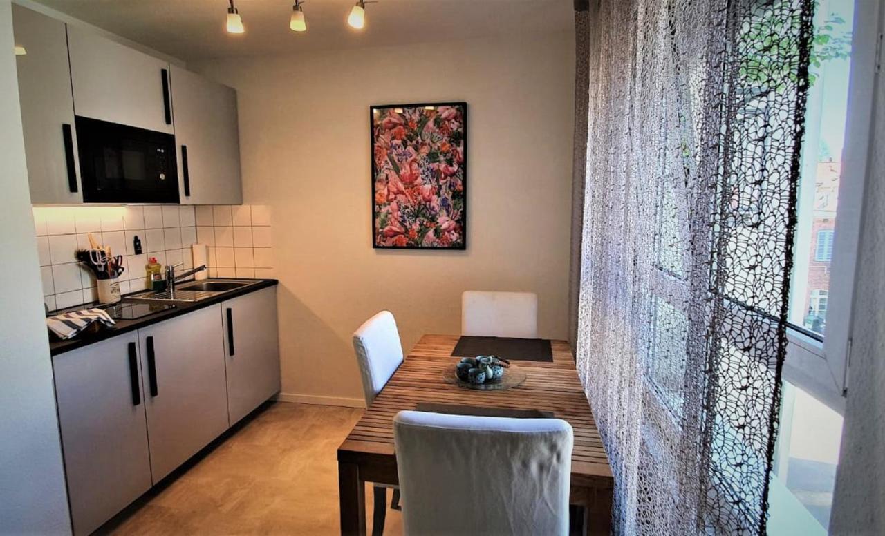 Deluxe Apartment Flamingo in Paradise Freiburg Bagian luar foto